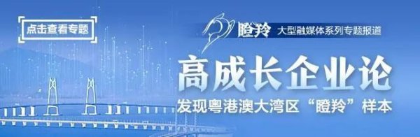 配资市场分析 高成长企业启示录