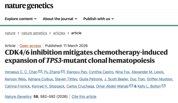Nature Genetics | 破解“化疗致癌”的生死悖论：药理学静止重塑造血干细胞的克隆演化轨迹