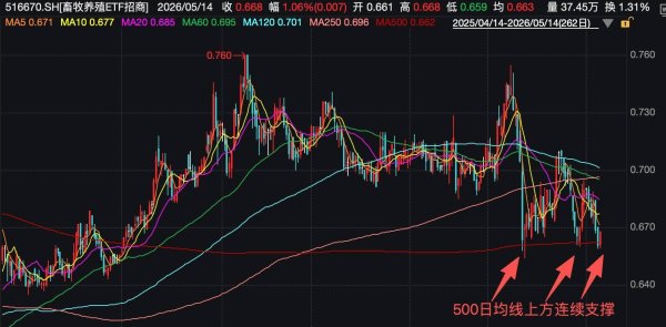 业内：猪价或仍有14%下跌空间！资金大手笔反向买入“养猪ETF”，底部信号显现？