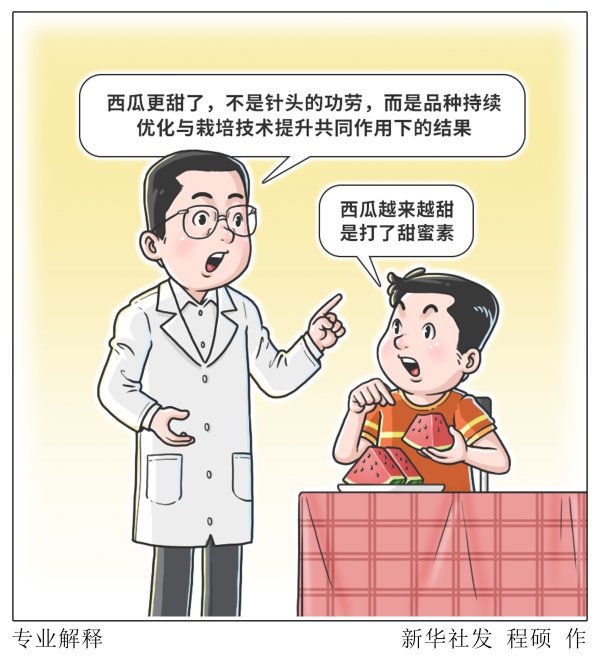 专业解释