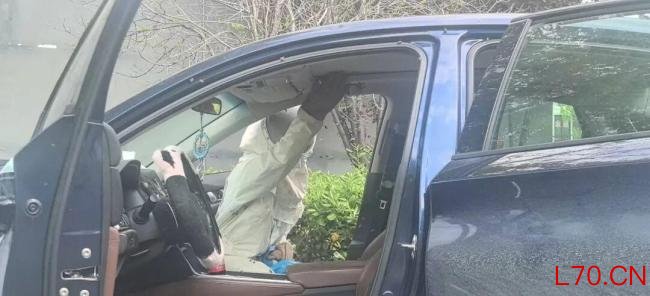车窗未关车内惊现蜂巢当事人发声 蜜蜂十分钟筑巢