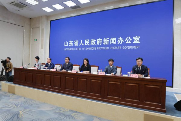 备好收购资金300亿，山东今年夏粮旺季收购量预计超260亿斤