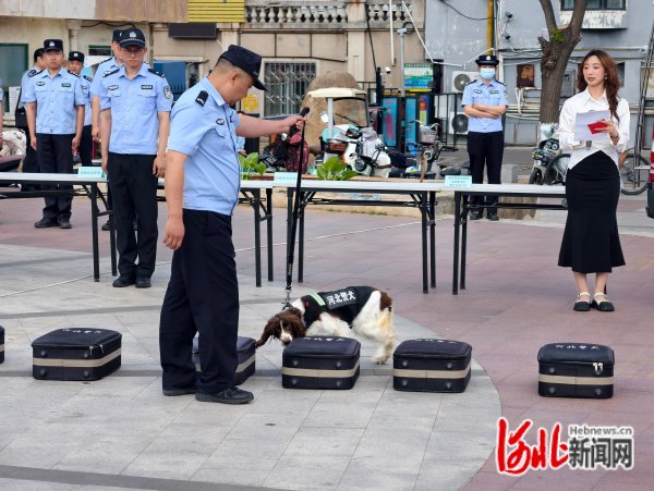 秦皇岛市以文艺演出助力依法养犬文明养犬集中宣传