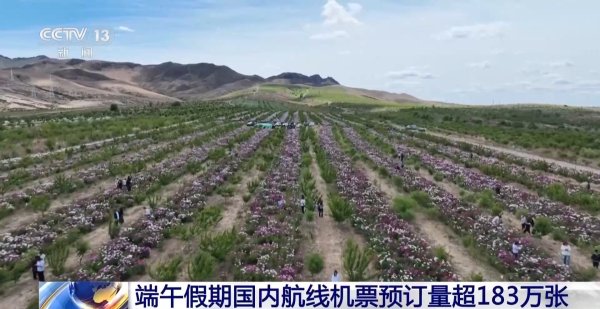 视频丨端午假期国内机票预订量超180万张 民俗游持续升温
